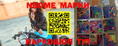 гидропоника Дубна