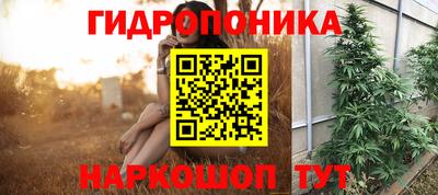 бошки Донской