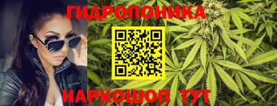 гидропоника Дубна