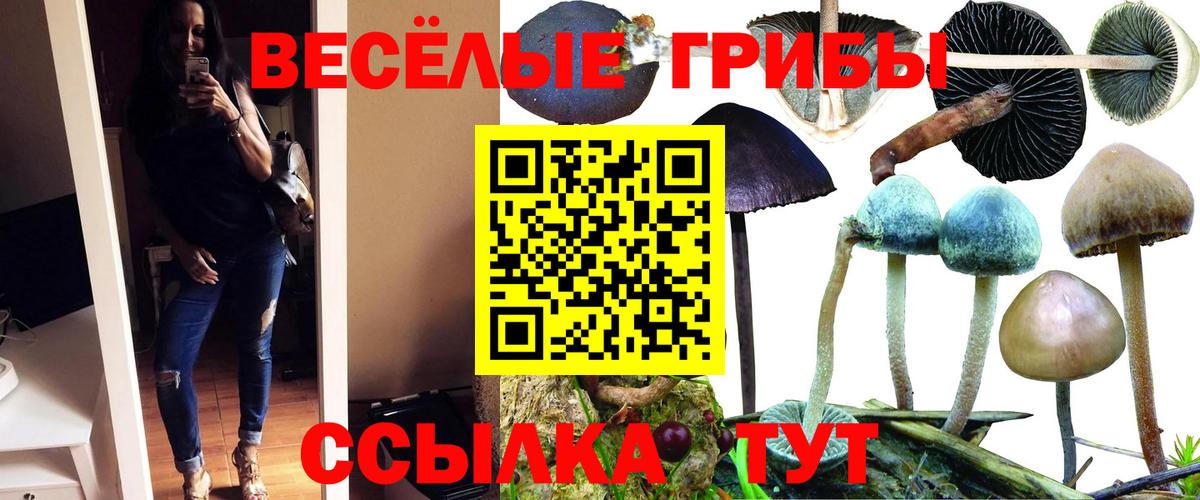 Галлюциногенные грибы Magic Shrooms  Вход с VPN  Мценск 