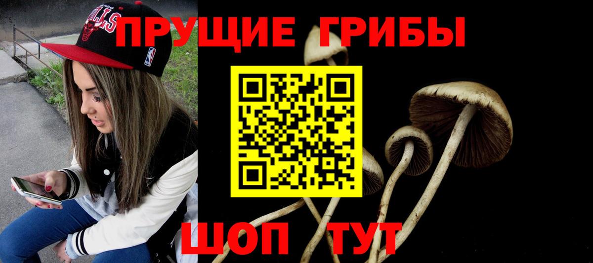 Галлюциногенные грибы Cubensis Мценск